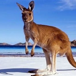 67Boombastic's profile picture. Freedom lover. Anti-lockdown. Supports bodily autonomy. Hates hypocrisy. Oppose digital ID, WEF, WHO and CBDC. Supports farmers.