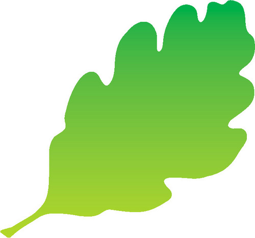 MidWebs's profile picture. Official account for Midlothian Council web team.