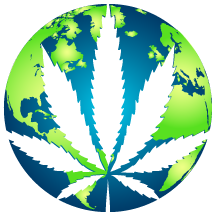 CannaIndustria's profile picture. 