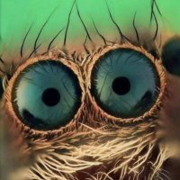 CryptoDen ♉🐘🔥🚀🔭🌟 (@cryptoden2) 's Twitter Profile Photo CryptoDen ♉🐘🔥🚀🔭🌟 (@cryptoden2) 's Twitter Profile Photo