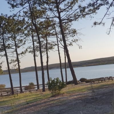 CoelhoSerge1's profile picture. 