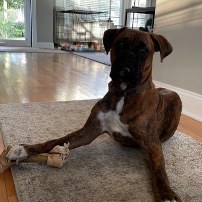 marshnean's profile picture. 