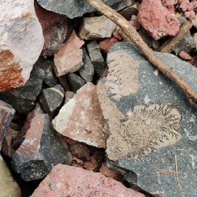 _a_q_01's profile picture. 