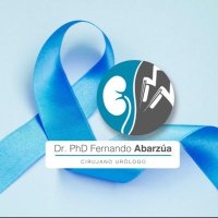 Fernando Abarzua(@fernandoabarzua) 's Twitter Profile Photo