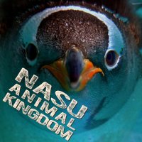 那須どうぶつ王国ネットショップ【 公式 】(@Nas_anikinShop) 's Twitter Profile Photo