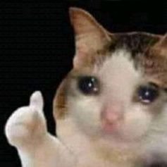 jesuisfloue's profile picture. ⠀⠀⠀ ⠀

🎬📖🦸🏻👽👩‍❤️‍👨🍣