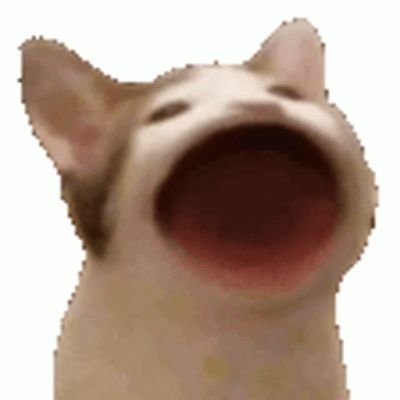 jmcaties's profile picture.