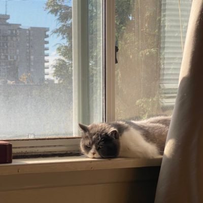 ubcvancouverliu's profile picture. No vax passport反对新冠疫苗、反对疫苗护照，从未检测新冠、没打新冠疫苗。美国民主党、加拿大自由党实质上是共产纳粹主义。