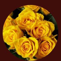 محمد (@1o0e9mruzxc1jgq) 's Twitter Profile