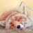 sabbylazyfox