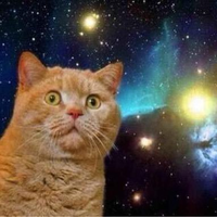 厚切りオリビアメリケンサック修正4y+2y (@liv11926230) 's Twitter Profile Photo