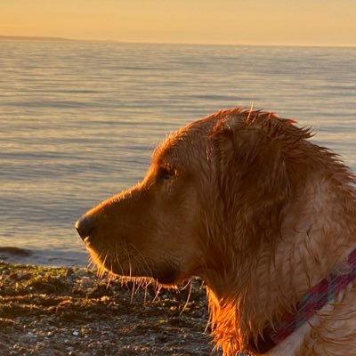 sacha93's profile picture. Trying to gracefully navigate the mid-life years.