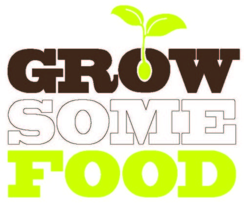 GrowSomeFood Supplies Organic Vegetable and Herb Seedlings Throughout Northern NSW. Non-hybrid, Traditional Home Garden Varieties Grown With Love.