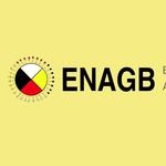 ENAGB Indigenous Youth Agency (@enagbcampaign) 's Twitter Profile