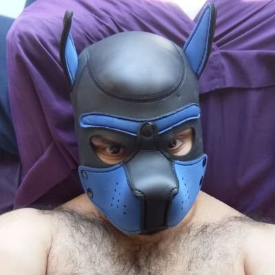 AD account.
Pup play and paws
