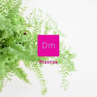 DmPlantas Profile Picture