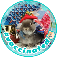 🐰もぐもぐ🐰💉＊6済(PPMMPP) (@mogumogumommy71) 's Twitter Profile Photo