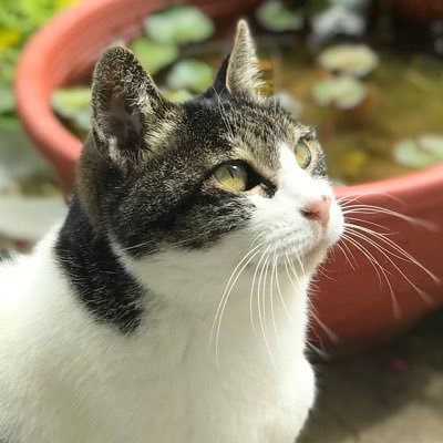 kiyo_kiyo2525's profile picture. マヂラブ野田さんで毎日ハッピー🌷