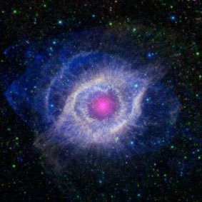 befragrant0128's profile picture. 