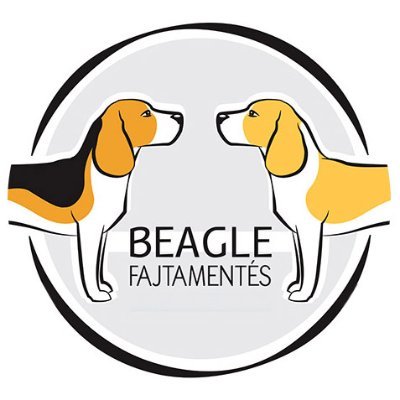 beagleszeged's profile picture. Beagle Rescue Hungary : The For the Beagle is a non-profit association whic rescue and rehome Beagles in Hungary.  😍 #beagle