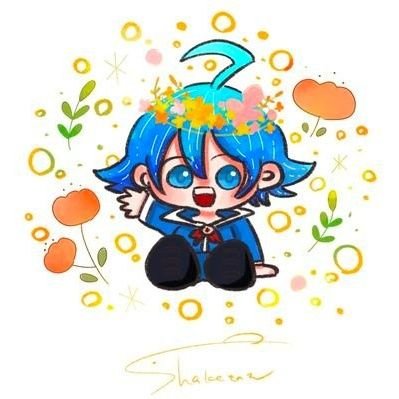しゃけたんさんのプロフィール画像