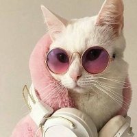 Nict 🦩 (@missadler) 's Twitter Profile Photo