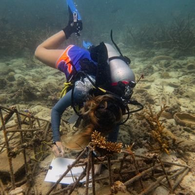 I'm a Marine Biologist. I'm interested in marine environmental restoration, corals and benthic organisms. I decided to spend my Life for the Sea into the Sea.
