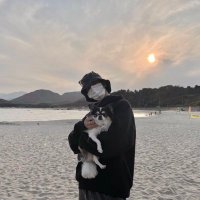 yuyu π (@yuninsyu) 's Twitter Profile
