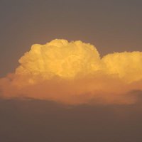 ابوعبد الرحمن (@gosa282) Twitter profile photo