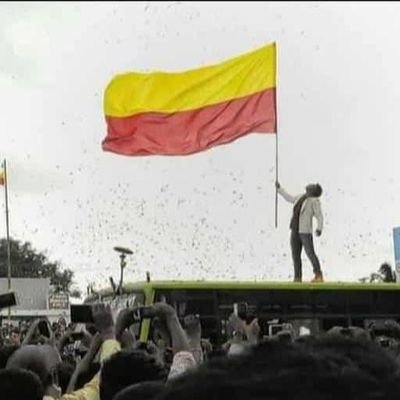 manja_Kannada's profile picture. ಕನ್ನಡಿಗರು Intolerant ಆದ ದಿನ‌ ಕರ್ನಾಟಕದ ಉದ್ದಾರ!