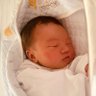 bobzhang1988's profile picture. Lead of @moonbitlang @moonbitlang_cn
Author of ReScript compiler @rescriptlang @hongboz_cn