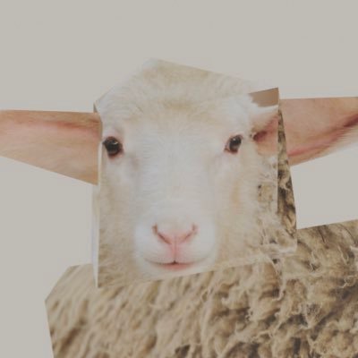 MAISON STRAYSHEEP on X: MAISON STRAYSHEEP on X: