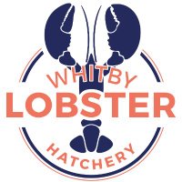 Whitby Lobster Hatchery(@LobsterWhitby) 's Twitter Profile Photo