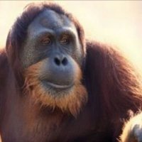 El_Tato (@tatoscuro) 's Twitter Profile Photo El_Tato (@tatoscuro) 's Twitter Profile Photo