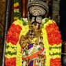 kshetragnya's profile picture. Rama’s Squirrel