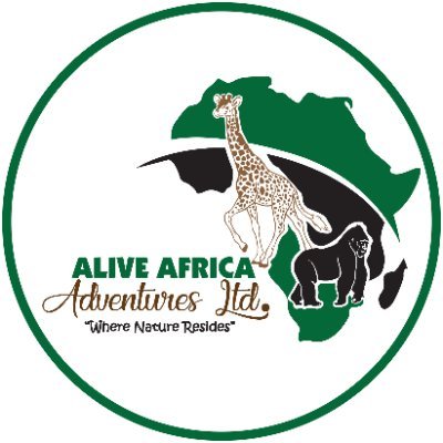 Alive Africa Adventures is a comprehensive and forward-thinking travel operator with a vision of Creative Destination Management and a focus on providing.