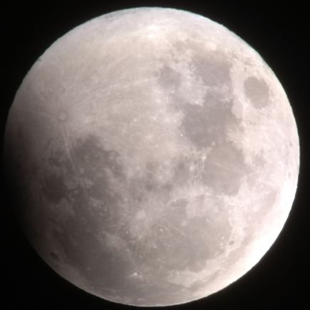 other0211's profile picture. .