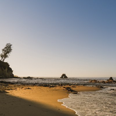 mececeme's profile picture. Yaşiyoruz ya