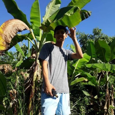 amiel_karlo's profile picture. 