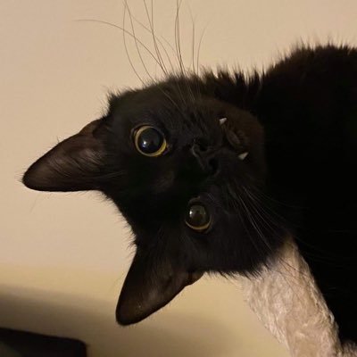 4rtic_'s profile picture. CG artist