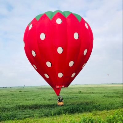 休日は熱気球で空を飛んでます。いちごパイロットです🍓👨‍✈️まだTwitter使い方よく分かりませんがよろしくお願いします。