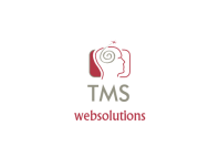 websolutionsTMS's profile picture. we develop websites and We are an efficient team, and work together seamlessly to provide each client with a successful online solution.