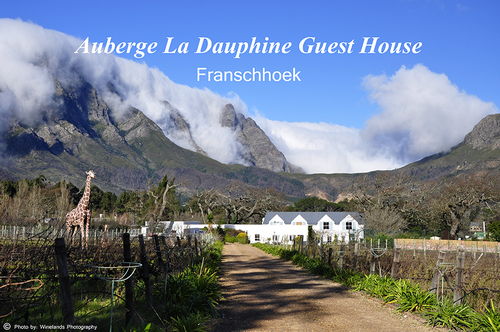 We are situated in the picturesque Franschhoek Valley only 1 km from the village. Offers swimming pool, tennis court, donkeys, amazing views & 11 rooms.