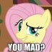Fluttershy Quotes (Real) (@fluttershyquote) Twitter profile photo Fluttershy Quotes (Real) (@fluttershyquote) Twitter profile photo