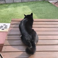 r (@ryota1122511) Twitter profile photo