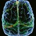 Neuropsychopharmacology (@npp_journal) Twitter profile photo Neuropsychopharmacology (@npp_journal) Twitter profile photo