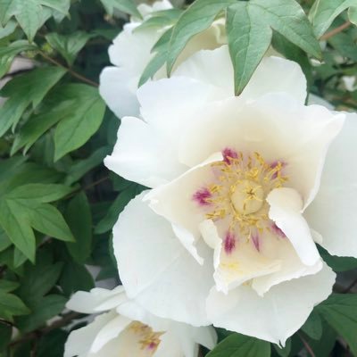 Fn1Epw's profile picture. 