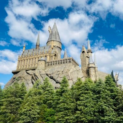 sgruu78's profile picture. 治小→栗中→守高→奈良教育大学 社会科教育専修卒業／元京進草津校講師→中学校教員／日本史(古代・中世史)研究室／ボーイスカウト草津14団/最近は御朱印集めにハマってます。