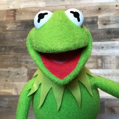 KermitTheFrog Profile Picture
