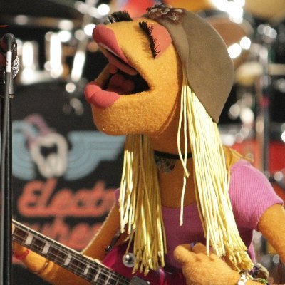 Electric Mayhem